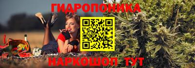 амф Апшеронск